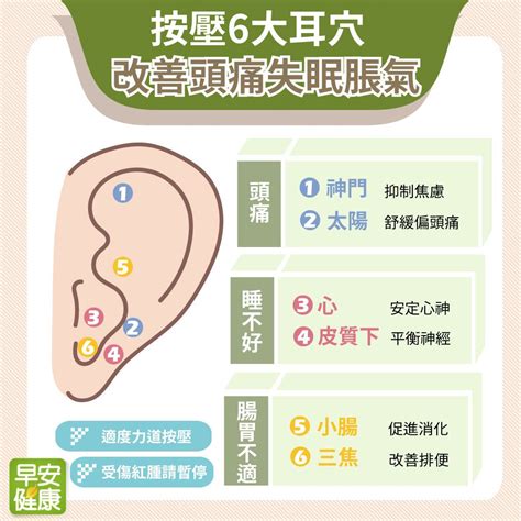 耳貼是什麼|耳朵有解痛神奇穴位！按壓6大「耳穴」頭痛、失眠、。